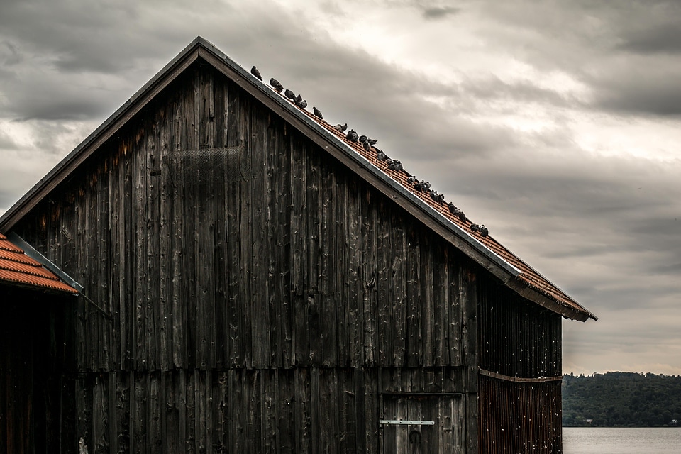 Wood wooden slats ammersee