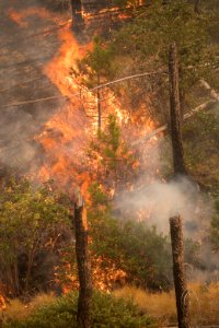 Firefighters conducting burnout operation