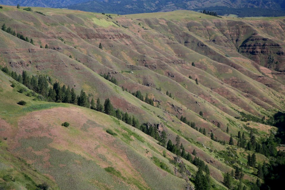 Grande Ronde River, Umatilla National Forest