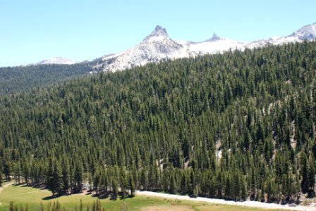 Yosemite National Park, California photo