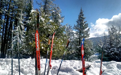 2019-Feb-deLeon-ColvilleNF-Frater-skis-snow photo