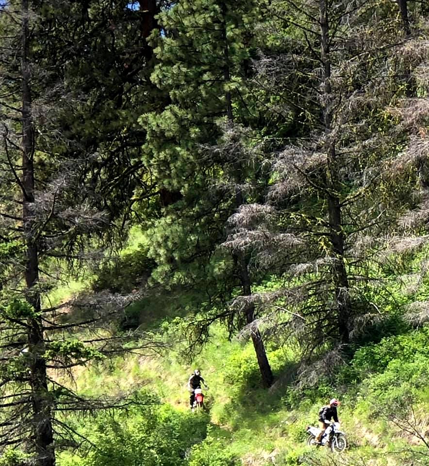 Motorcycle-FS TrailCrewPersonsOnMotorcycles-Certifying USFS employees for trail motorcycles(5)OkaWenNFbyMasonSchuurUSFS-June2019