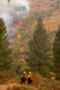 Firefighters conducting burnout operation