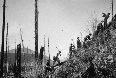 292 CCC tree planting crew in burn