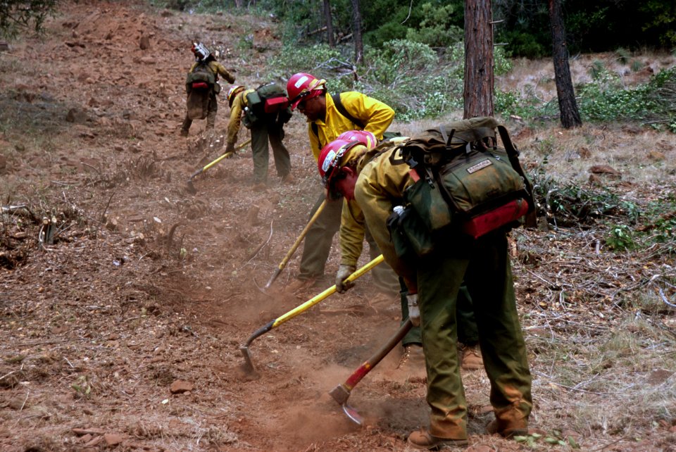 261 Rogue River Siskiyou National Forest, Biscuit Fire