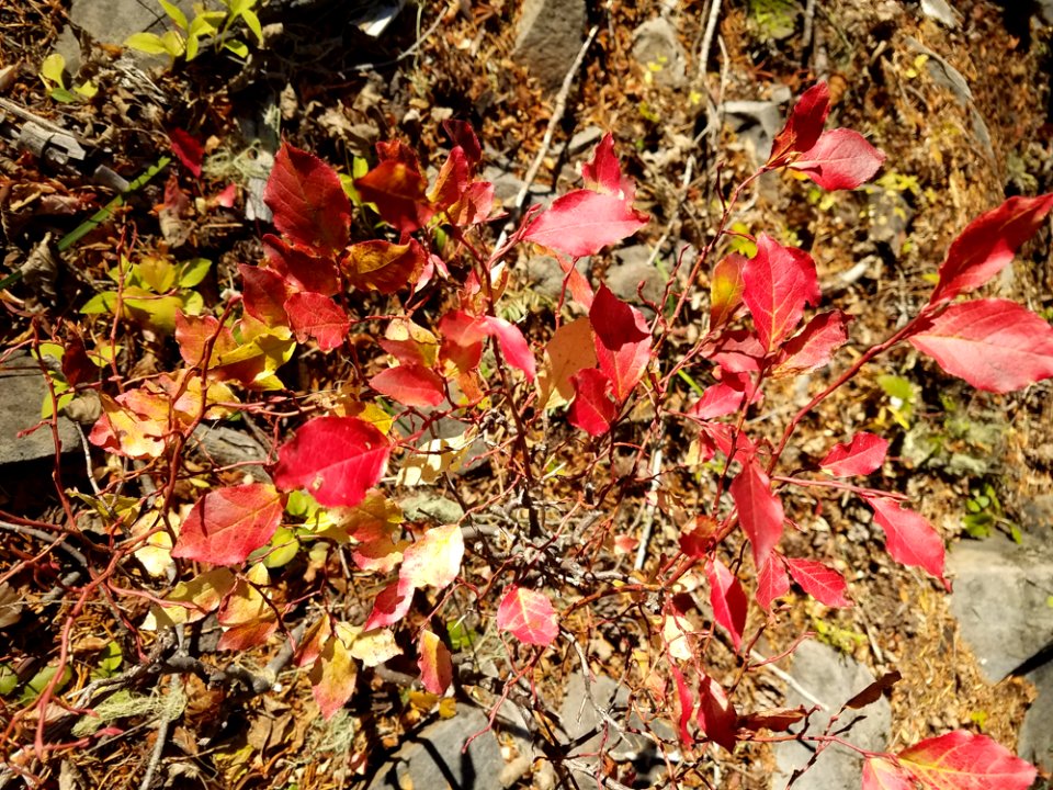 fall-finalejpg 48801022021 o