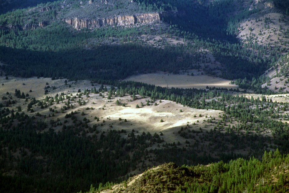 Ochoco Divide, Ochoco National Forest-3.jpg