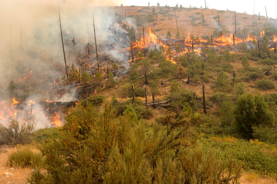Firefighters conducting burnout operation