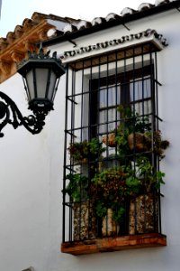 Ronda novembre 2017