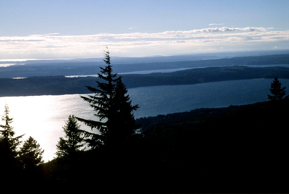 Puget Sound and Olympic Range, Olympic National Forest,.jpg