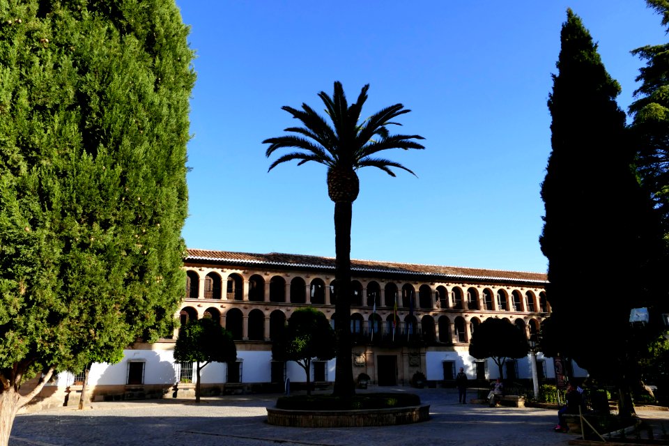 Ronda novembre 2017