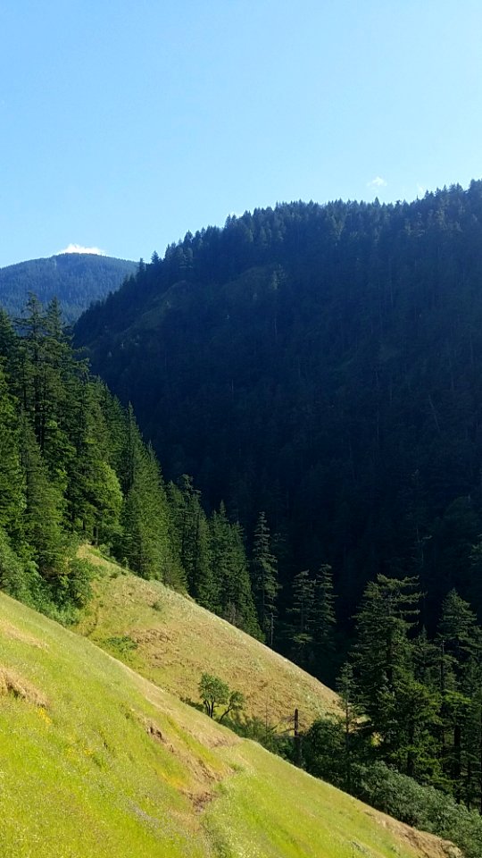 Starvation Ridge Trail by Lillian Palmer