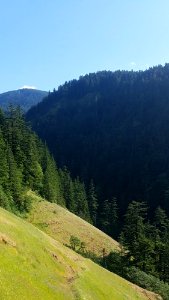 Starvation Ridge Trail by Lillian Palmer