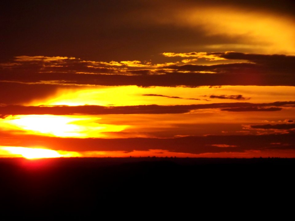 DSCF0694