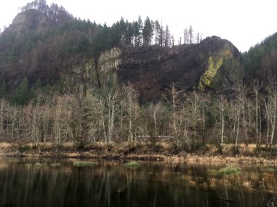 Horsetail Wetland Restoration site