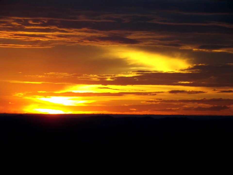 DSCF0703