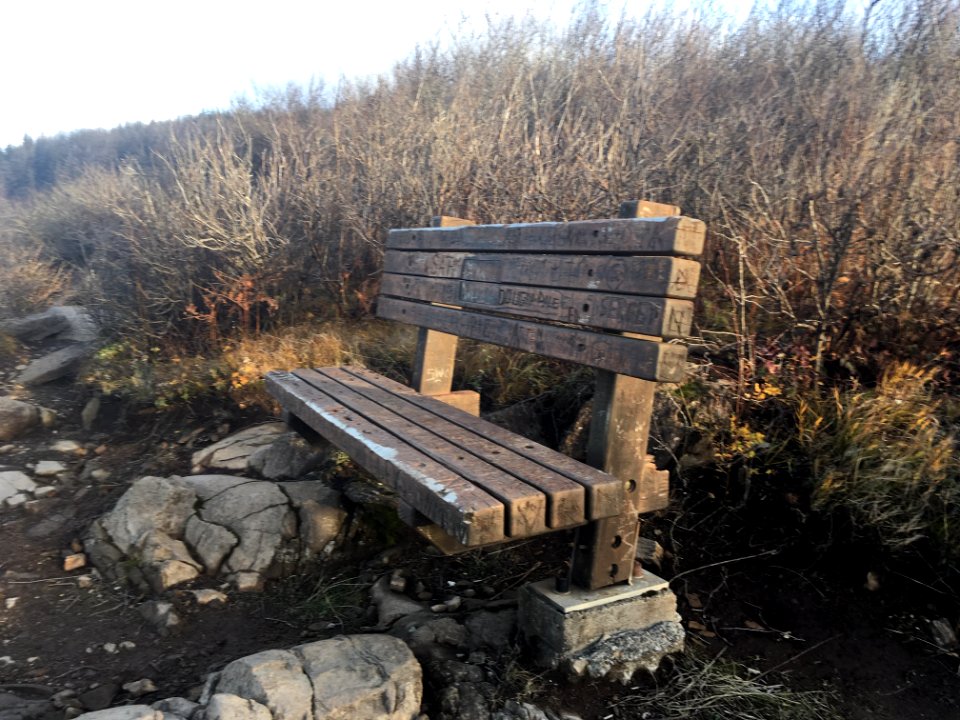 Infamous bench at the top of Angel's Rest Trail Nov. 2018. Still intact a year after Eagle Creek Fire burned through the area, Columbia River Gorge National Scenic Area.