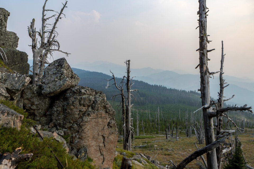 20180816-FS-Okanogan-KG-0358