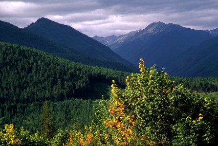 Dungeness River watershed, Olympic National Forest.jpg