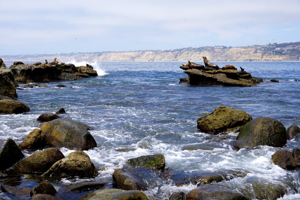 La Jolla Cove, CA (Unedited)