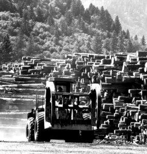 R-6 ----71 Log Deck, OR