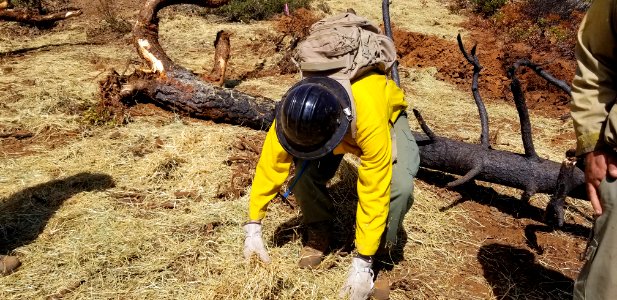 Straw and Seed Repair, Klondike Fire