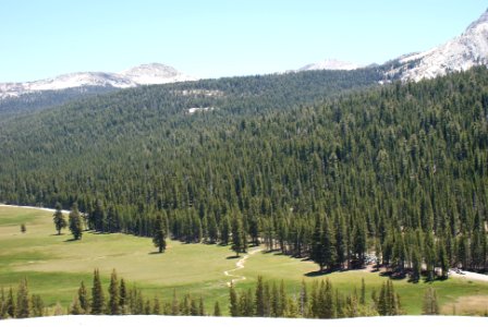 Yosemite National Park, California