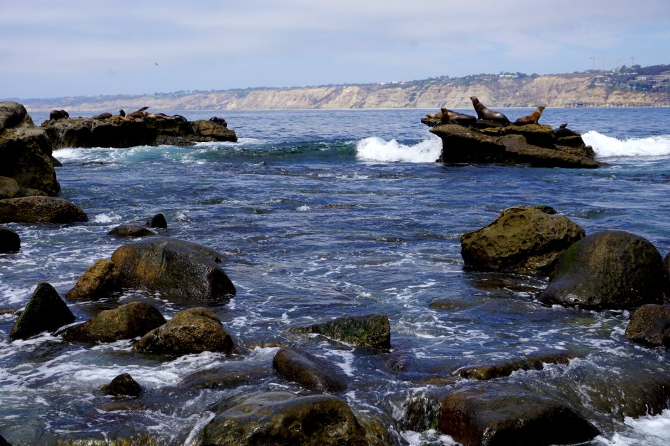 La Jolla Cove, CA (Unedited)