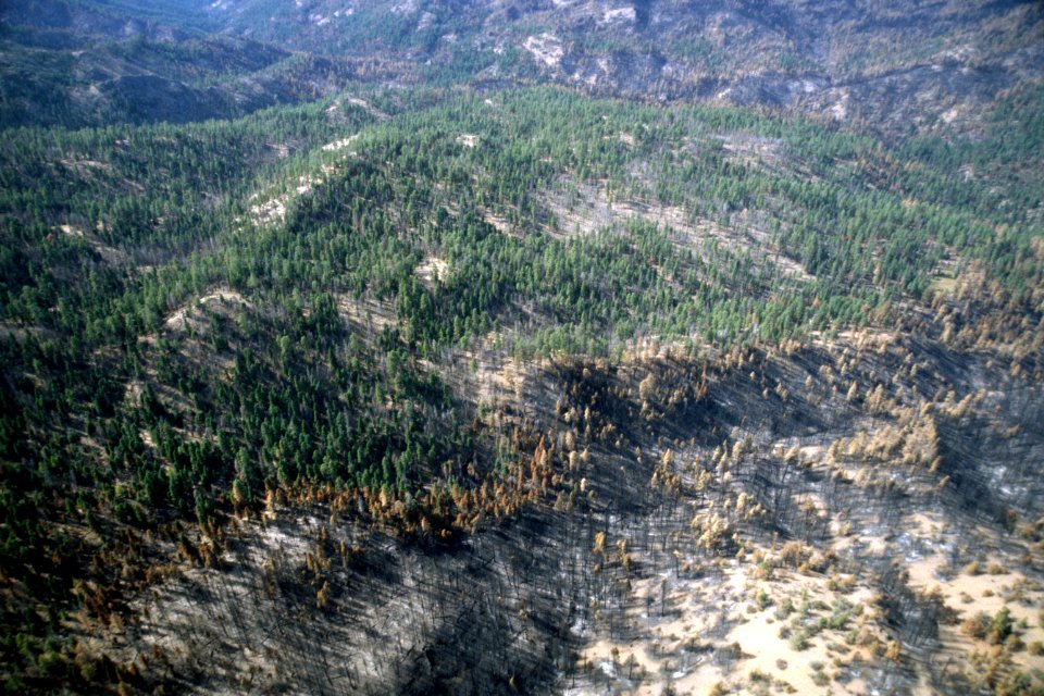 510 Mill Creek prescribed Natural fire , Ochoco National Forest