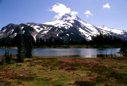 Willamette National Forest, Scott Lake and Mt Washington.jpg