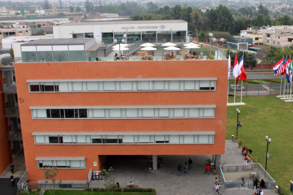 Vida universitaria