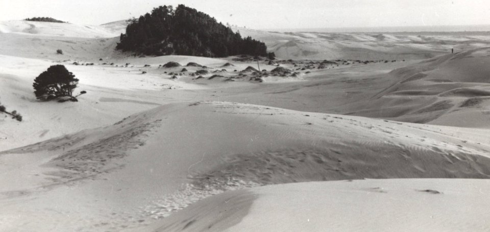 dunes landscape1 photo