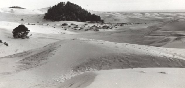 dunes landscape1 photo