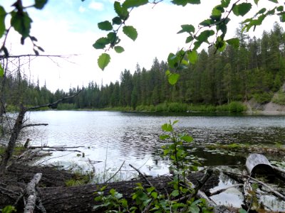 Colville NF Fish Lake June 2020 by Sharleen Puckett 12