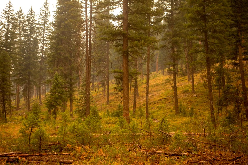 20180822-FS-Okanogan-KG-0424