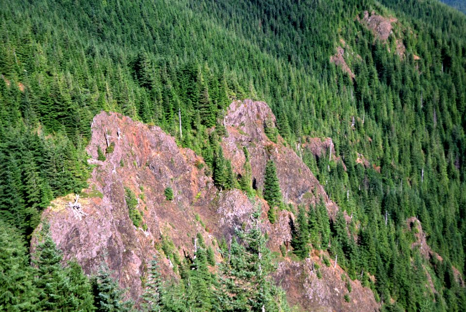 Cliff face and Forest, Olympic National Forest.jpg