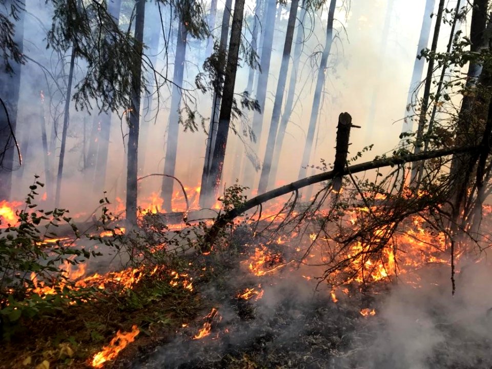 Prescribed fire Oct. 1, 2018, Columbia River Gorge National Scenic Area