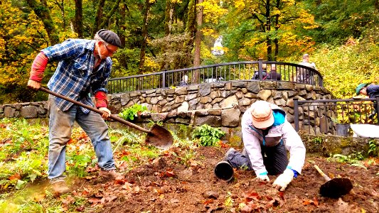 Planting native plants at Wakheena Falls, 2016.