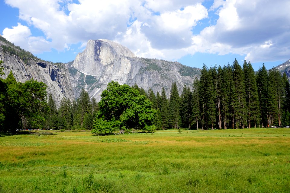 Yosemite, CA (Unedited)