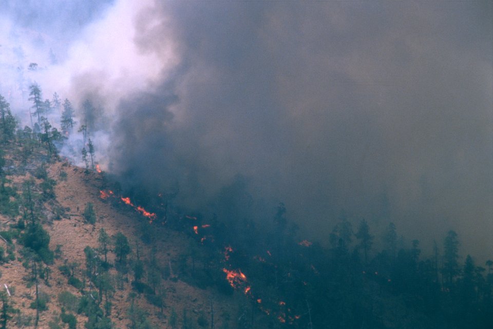 090 Rogue River-Siskiyou National Forest, Biscuit Fire