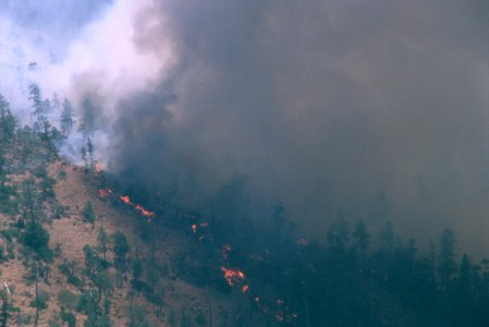 090 Rogue River-Siskiyou National Forest, Biscuit Fire