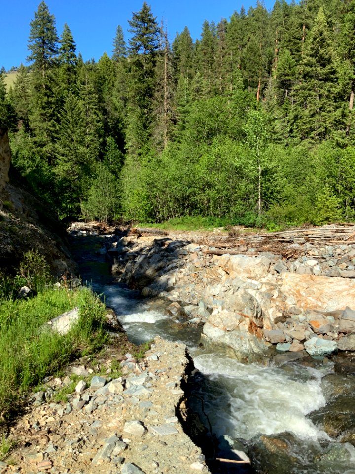 Forest Service Road 54 (Pearson Creek)