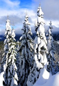 Mt. Hood Meadows on the Mt. Hood National Forest