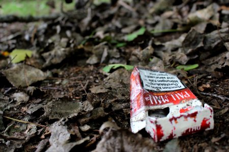 Cigarette litter in forest