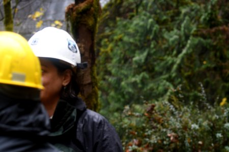 The Forest Service works with multiple agencies and partners to mitigate hazards to the public post fire.