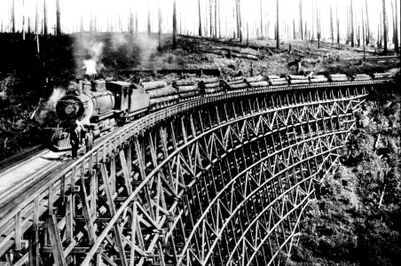 37952A RR Timber Trestle, NPRR Spur, WA 1918 Prentiss