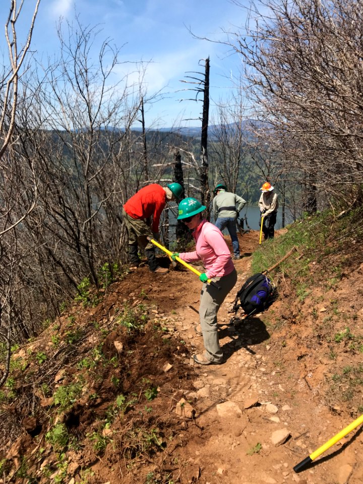 A work party clearing and repairing Angel's Rest Trail in spring of 2018, photo courtesy of Trailkeepers of Oregon.