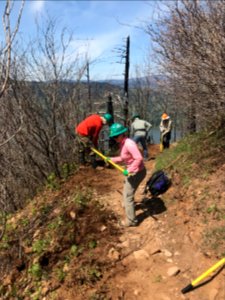 A work party clearing and repairing Angel's Rest Trail in spring of 2018, photo courtesy of Trailkeepers of Oregon.