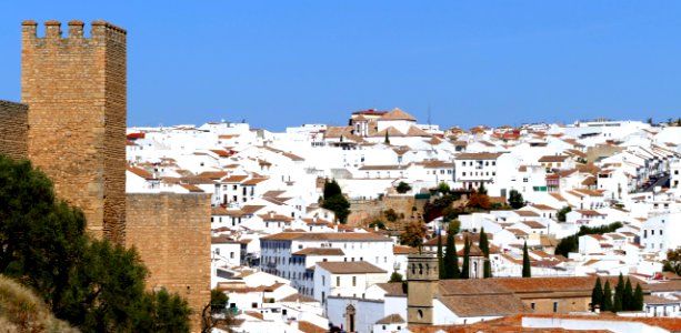 Ronda novembre 2017