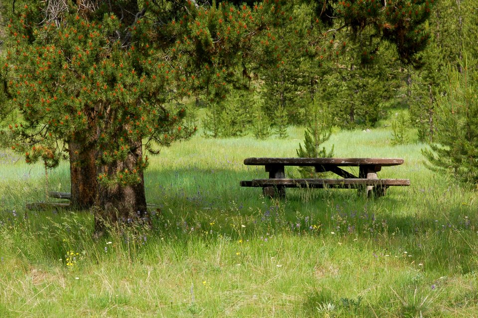 Boundary, Wallowa Whitman National Forest